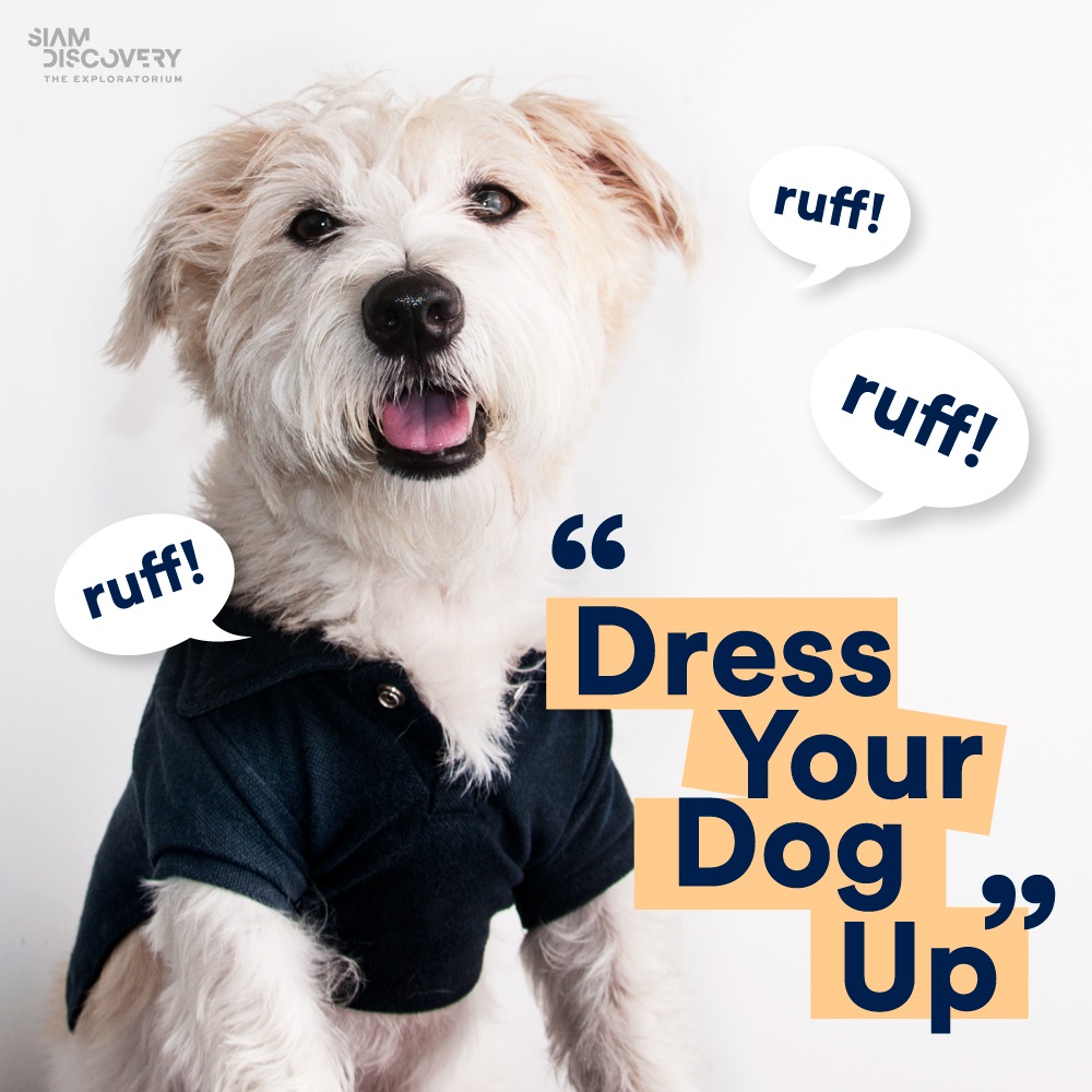 DRESS UP YOUR DOG