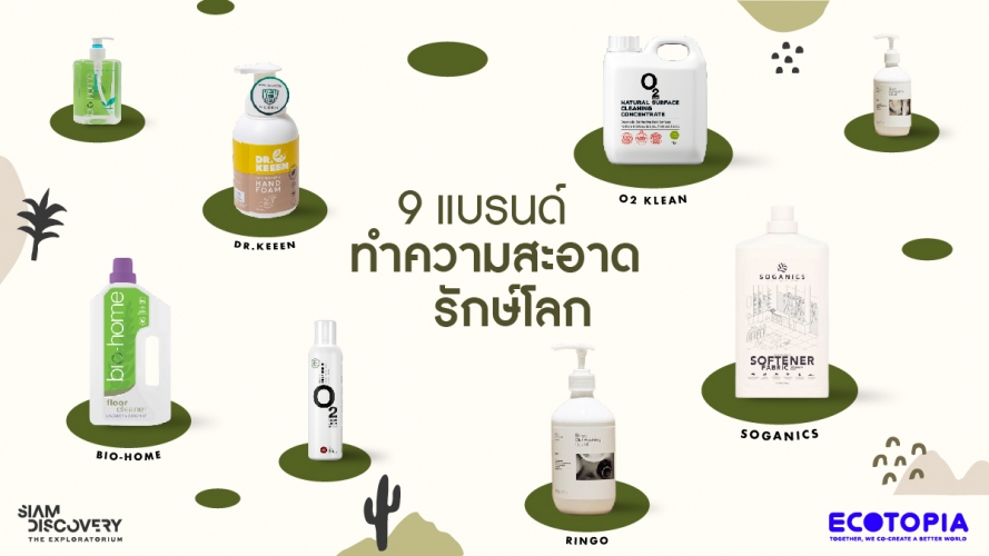 EcoLike Everyday Picks