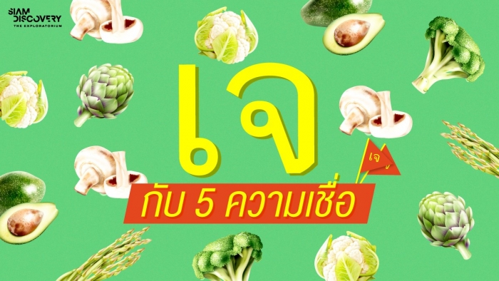 เฉลย 5 ความเชื่อหมดทุกข้อสงสัย กินเจยังไงให้กายใจบริสุทธิ์