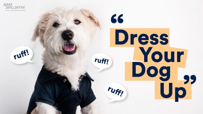 DRESS UP YOUR DOG