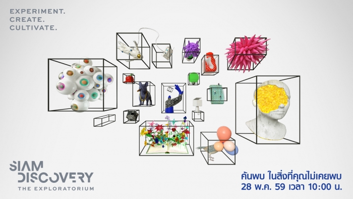 SIAM DISCOVERY | The Exploratorium