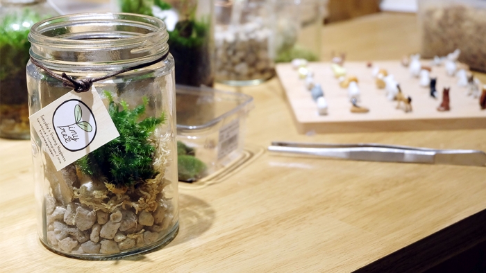 Workshop Terrarium with Tiny Tree